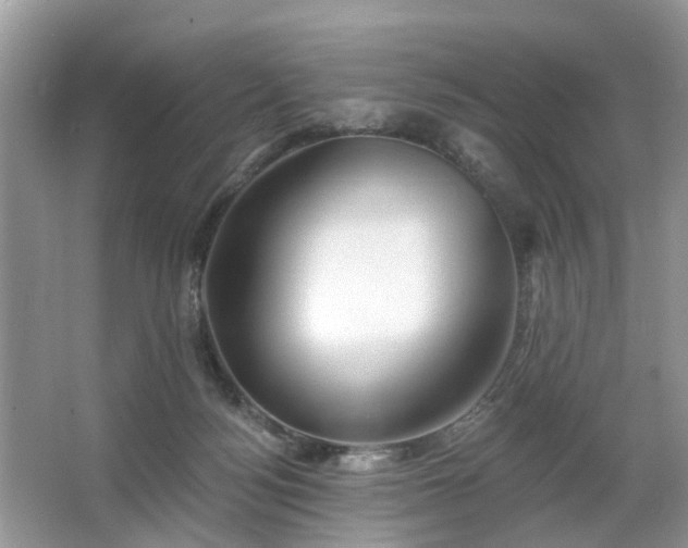 X0000063450172200601231401