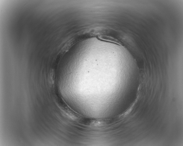 X0000063450174200601231401