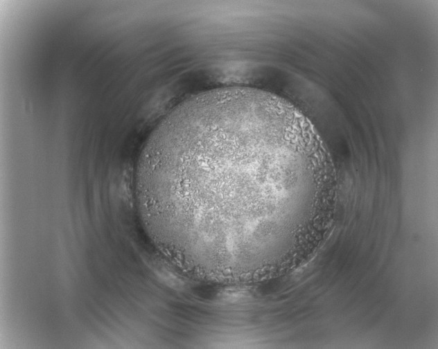 X0000063450175200601231401