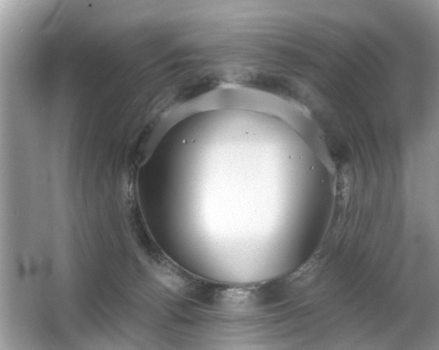 X0000063450176200601231401