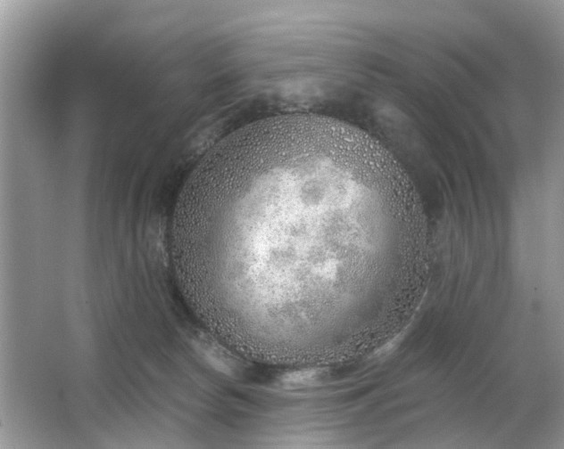 X0000063450178200601231401