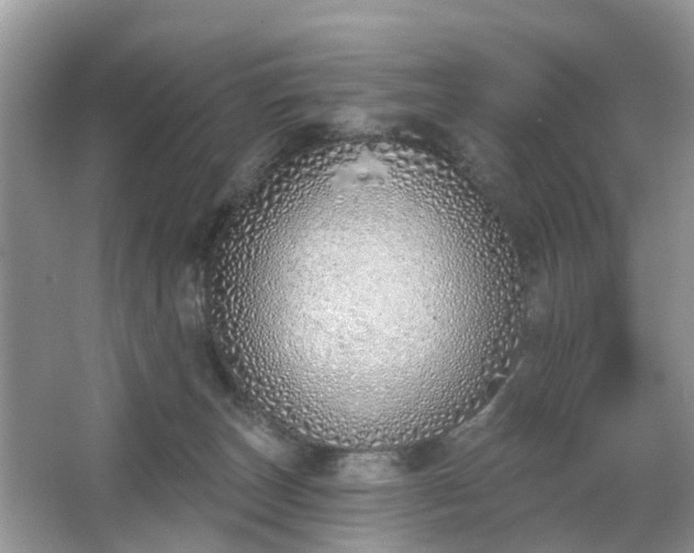 X0000063450179200601231401