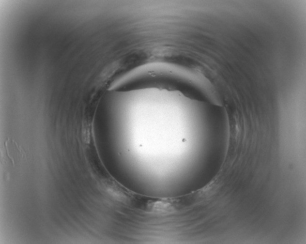 X0000063450180200601231401