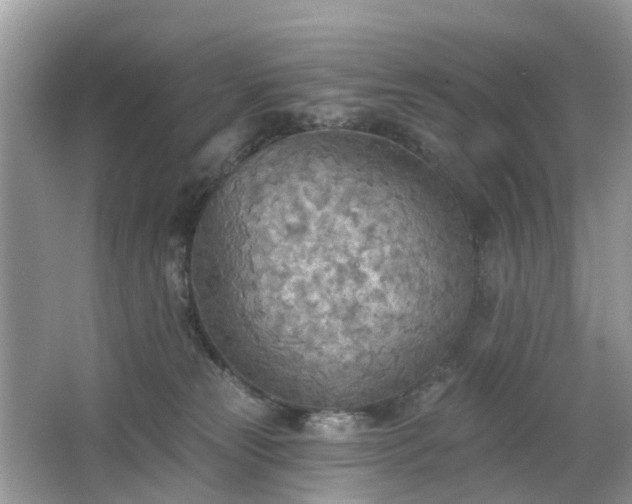 X0000063450181200601231401