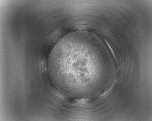 X0000063450182200601231401