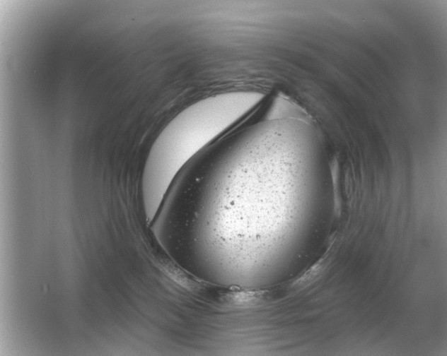 X0000063450184200601231401