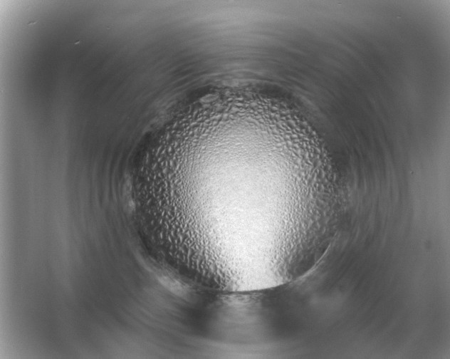 X0000063450187200601231402