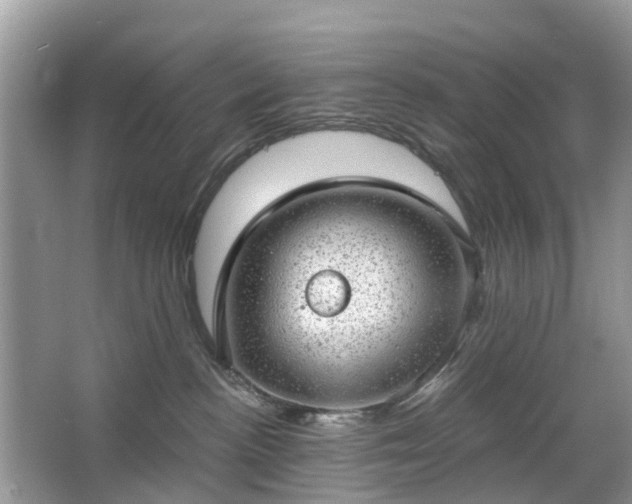 X0000063450188200601231402