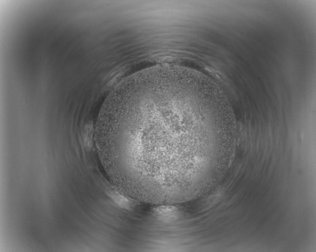 X0000063450189200601231402