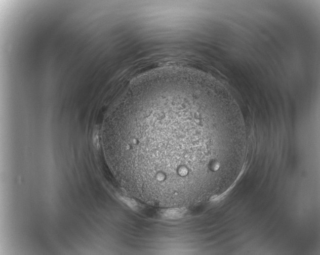 X0000063450191200601231402