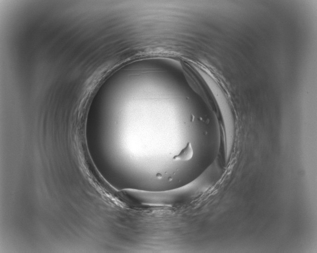 X0000063450193200601231401