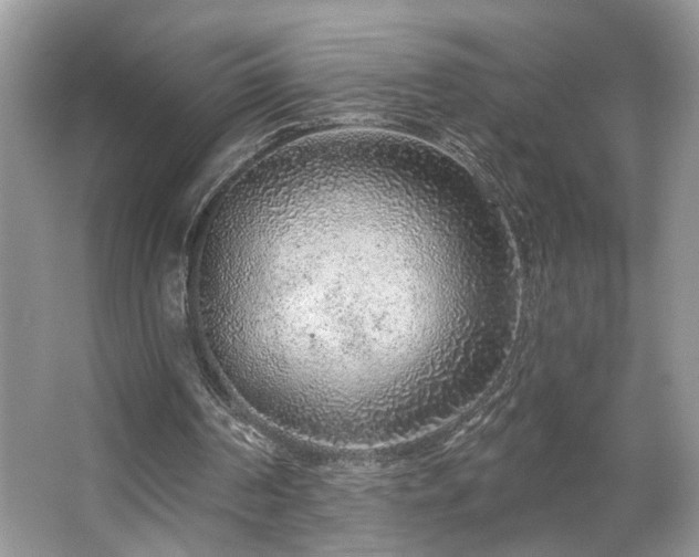 X0000063450194200601231401