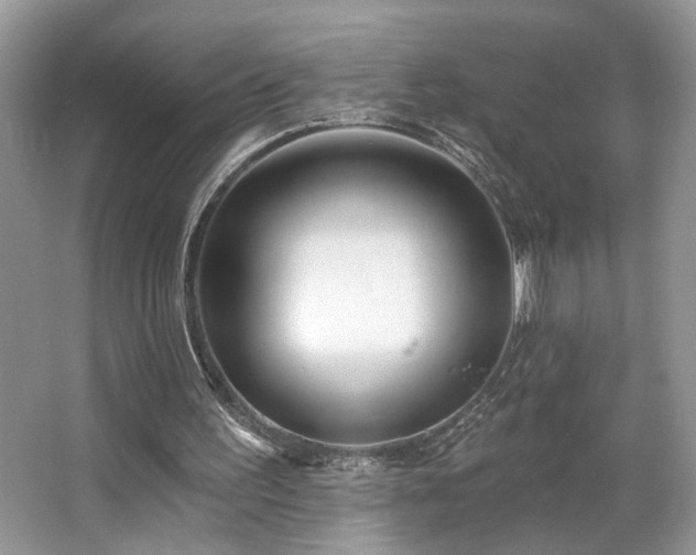 X0000063450195200601231401