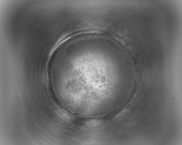 X0000063450198200601231401