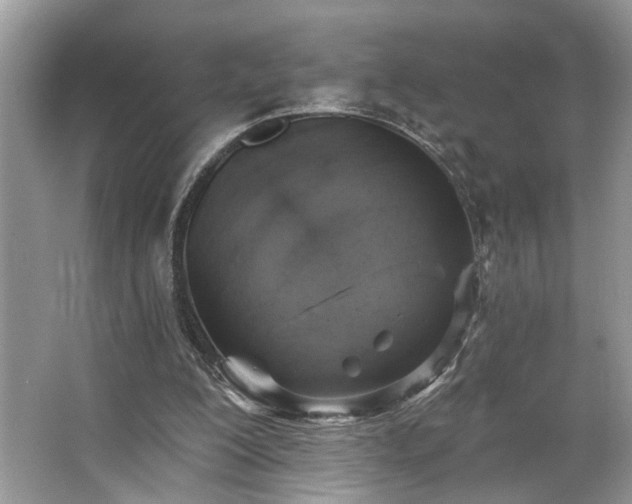 X0000063450200200601231401