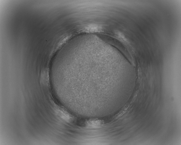 X0000063450202200601231401