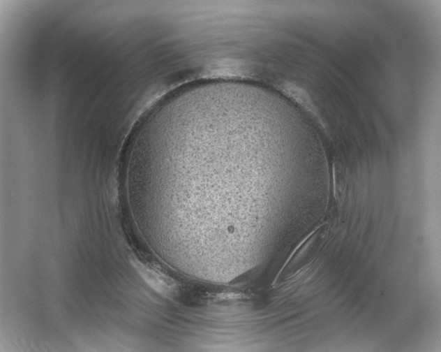 X0000063450204200601231401