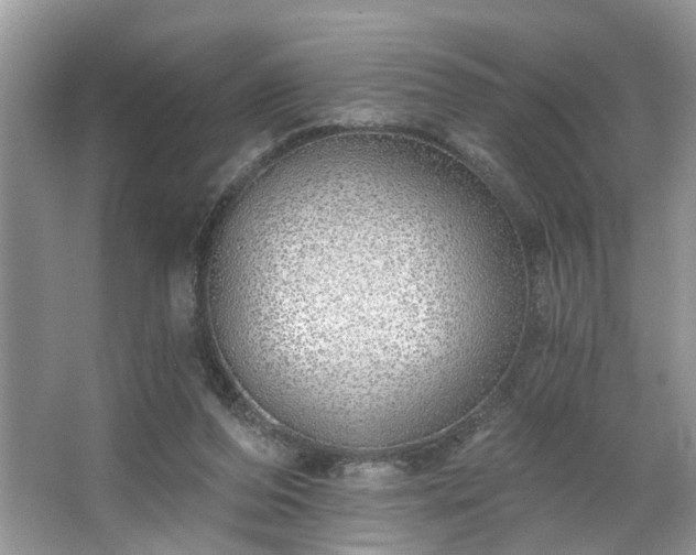 X0000063450208200601231401