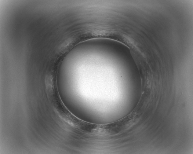 X0000063450211200601231400