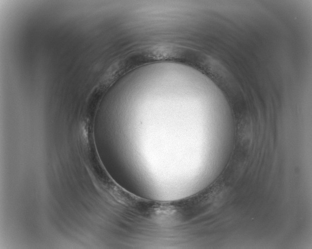 X0000063450214200601231400