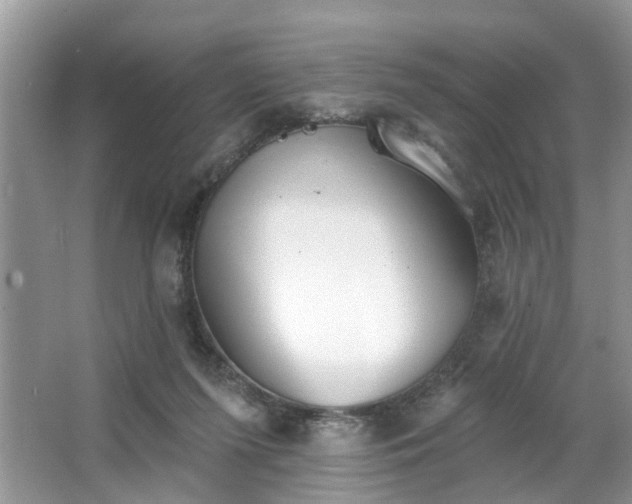 X0000063450215200601231400