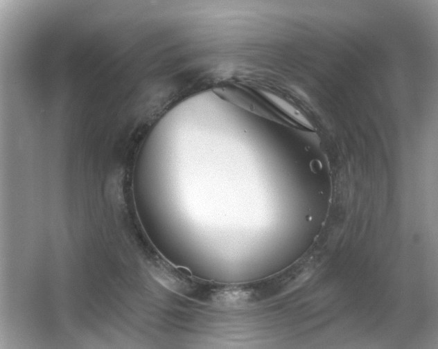 X0000063450217200601231400