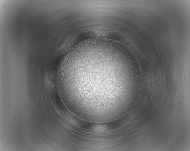 X0000063450218200601231400