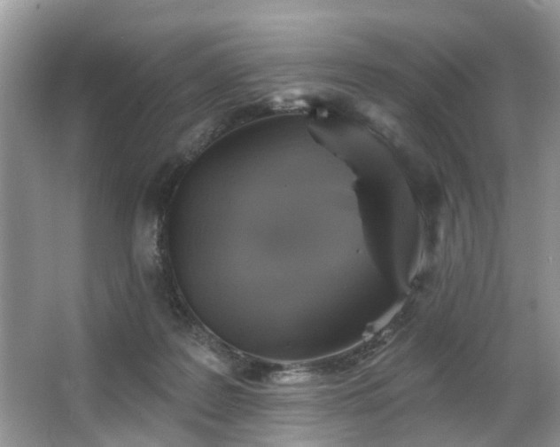 X0000063450219200601231400