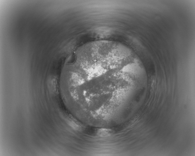 X0000063450222200601231400