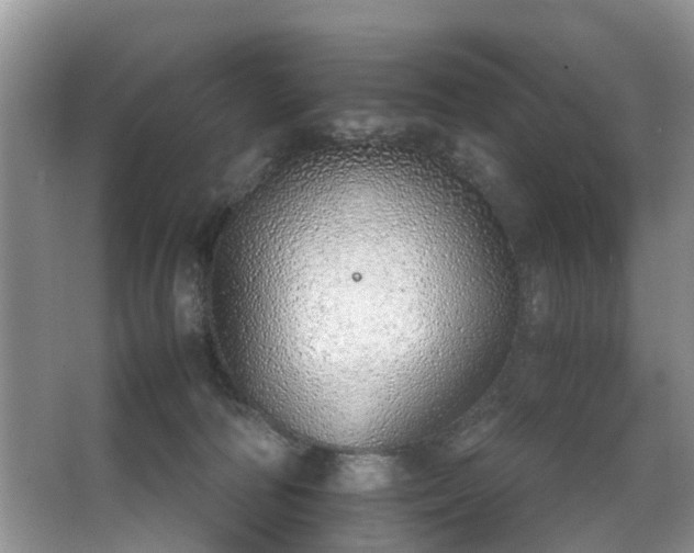 X0000063450226200601231400