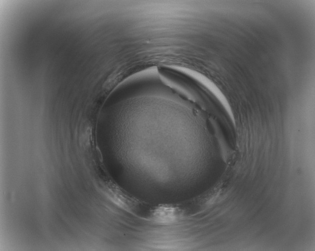 X0000063450227200601231400