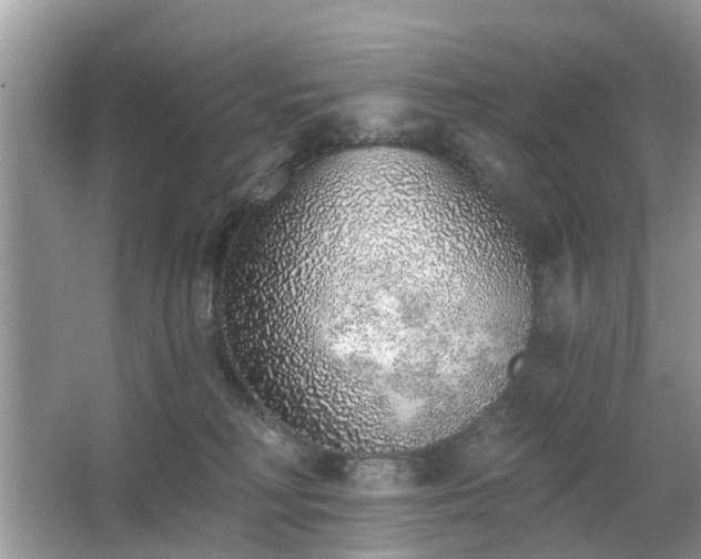 X0000063450230200601231400