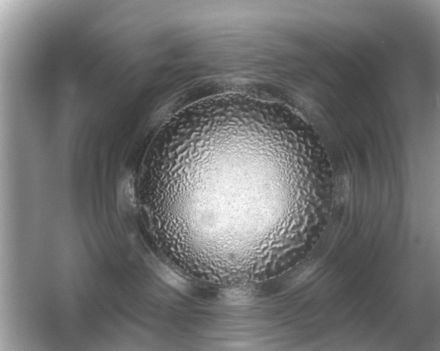 X0000063450238200601231400