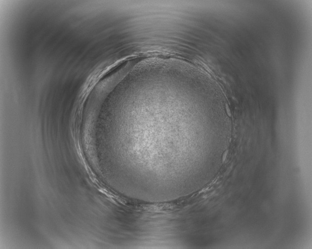 X0000063450241200601231359