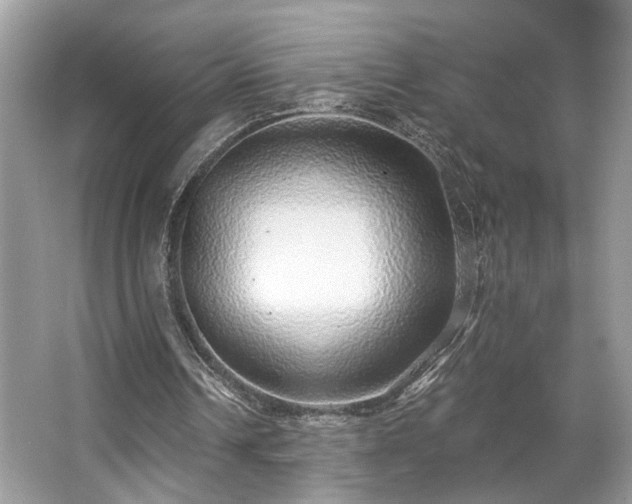 X0000063450242200601231359