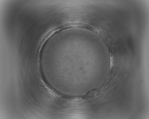 X0000063450243200601231359