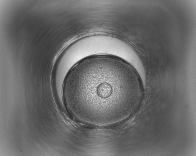 X0000063450244200601231359