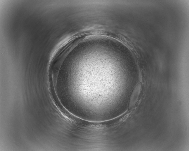 X0000063450245200601231359