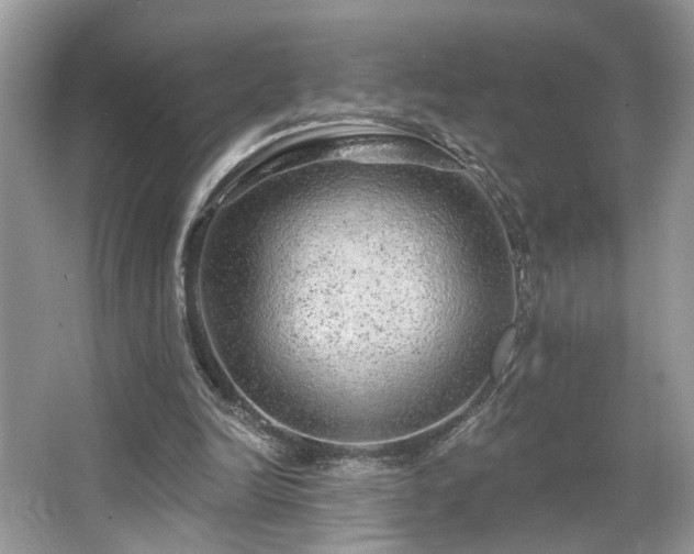 X0000063450246200601231359