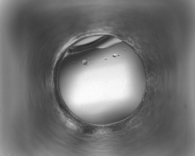 X0000063450248200601231359