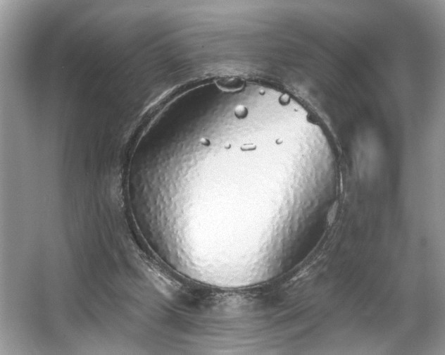 X0000063450249200601231359