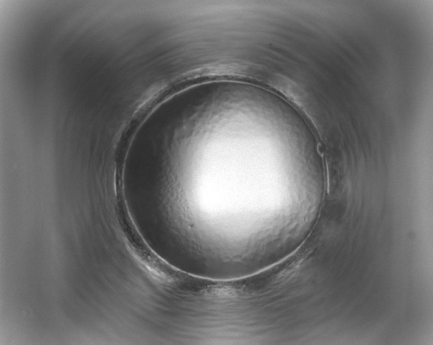 X0000063450253200601231359