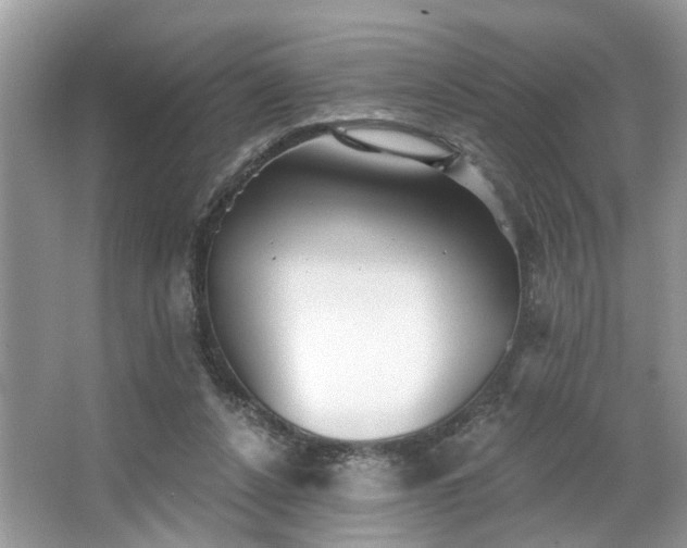 X0000063450256200601231359