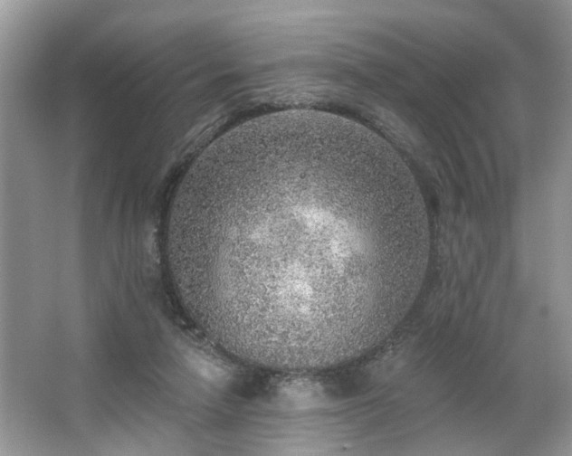 X0000063450258200601231359