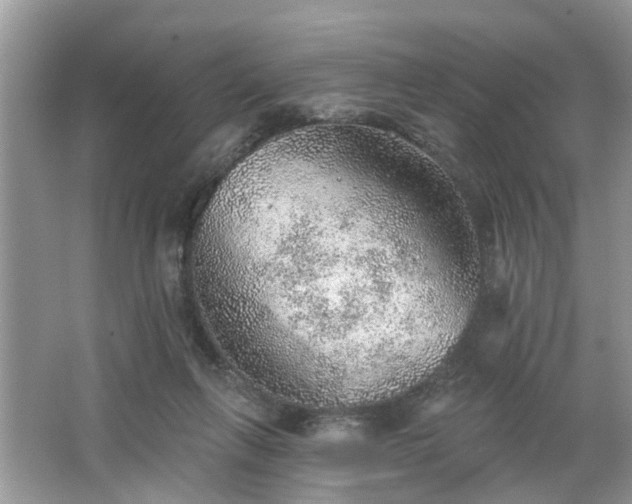 X0000063450263200601231400