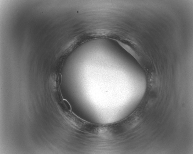 X0000063450264200601231400