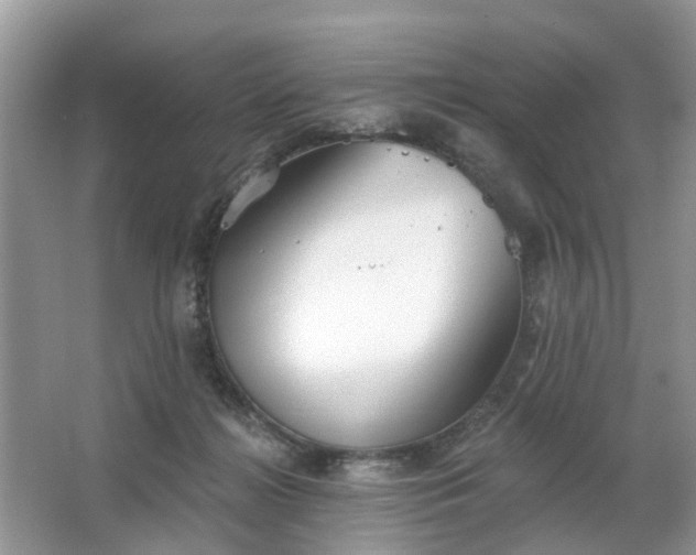 X0000063450268200601231400