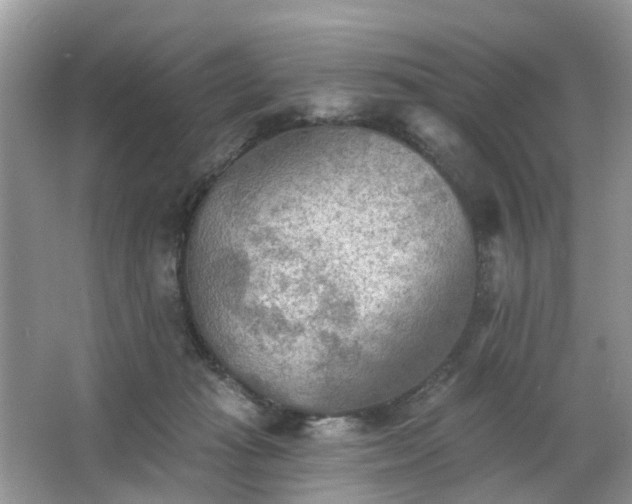 X0000063450269200601231400