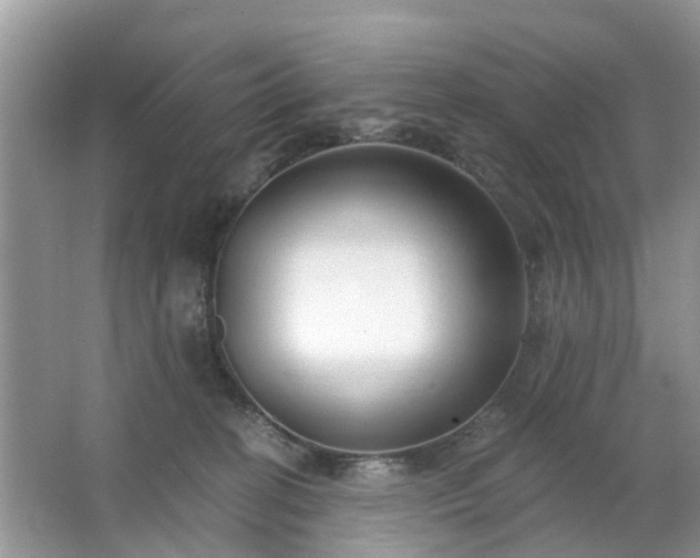 X0000063450274200601231400