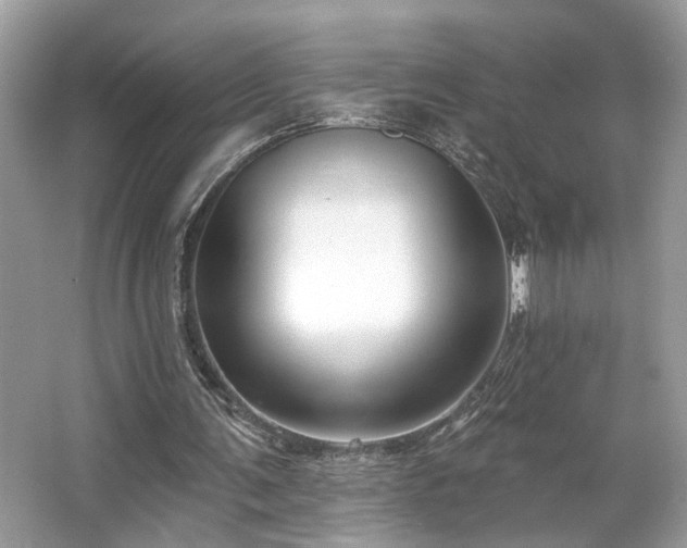 X0000063450291200601231359